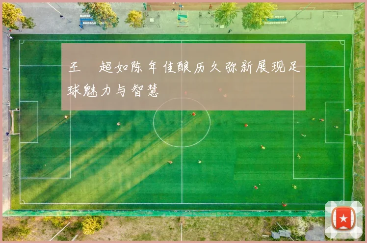 王燊超如陈年佳酿历久弥新展现足球魅力与智慧