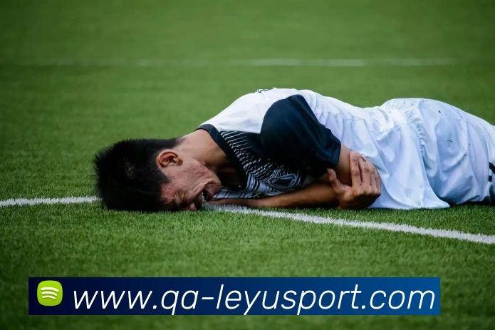 App Interface Preview