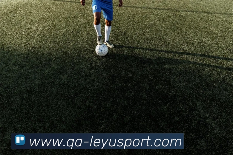 乐鱼体育APP 封面图